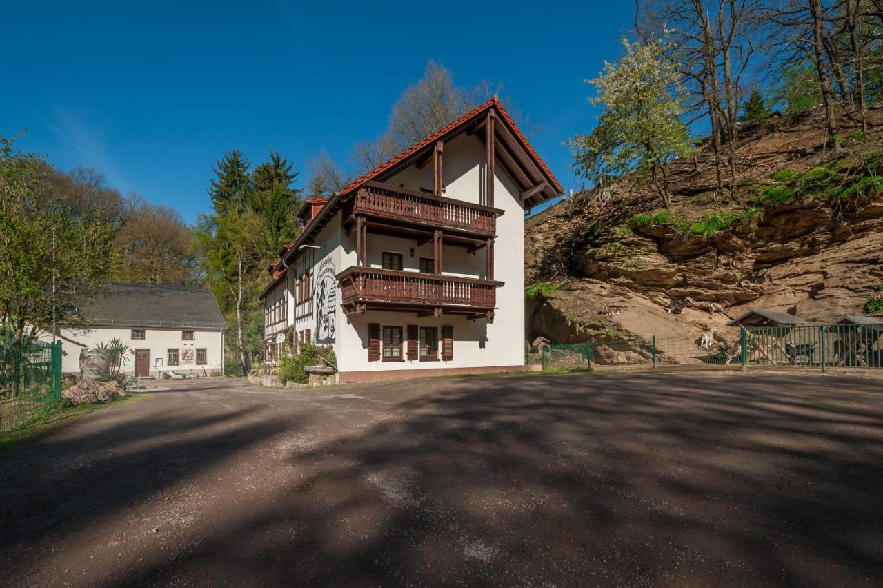 Zur Margarethenmuehle - Landgasthof Und Waldhotel Rosswein Luaran gambar