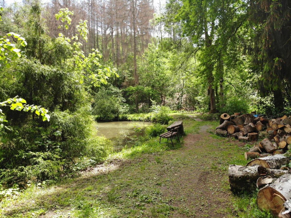 Zur Margarethenmuehle - Landgasthof Und Waldhotel Rosswein Luaran gambar