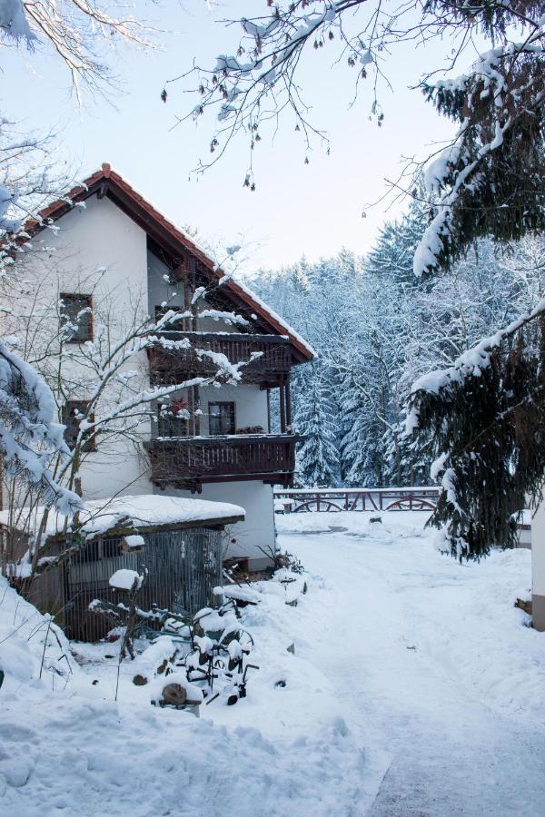 Zur Margarethenmuehle - Landgasthof Und Waldhotel Rosswein Luaran gambar